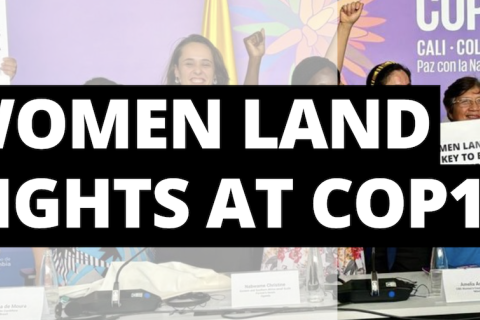 Women's land rights at cop16