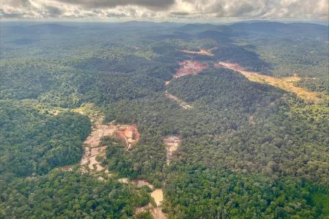 UN News/Laura Quinones Le Suriname est le pays le plus boisé du monde, mais ses forêts tropicales vierges sont menacées, entre autres, par l'exploitation minière de l'or, de la bauxite et du kaolin.