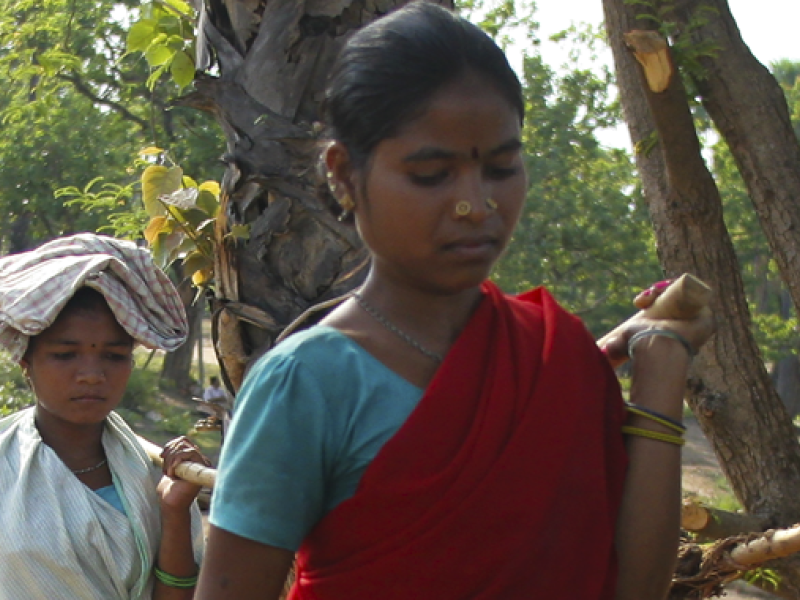 Women’s struggle for land in South Asia