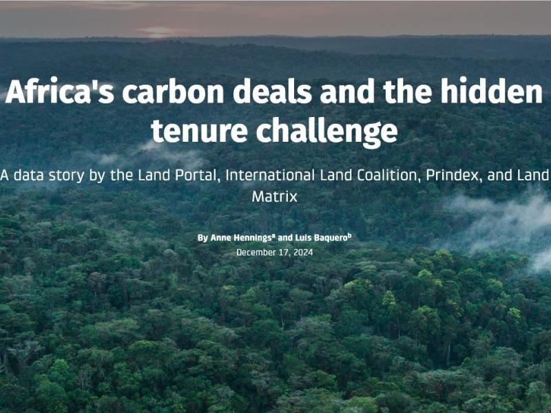 Banner data story Africa carbon deals 