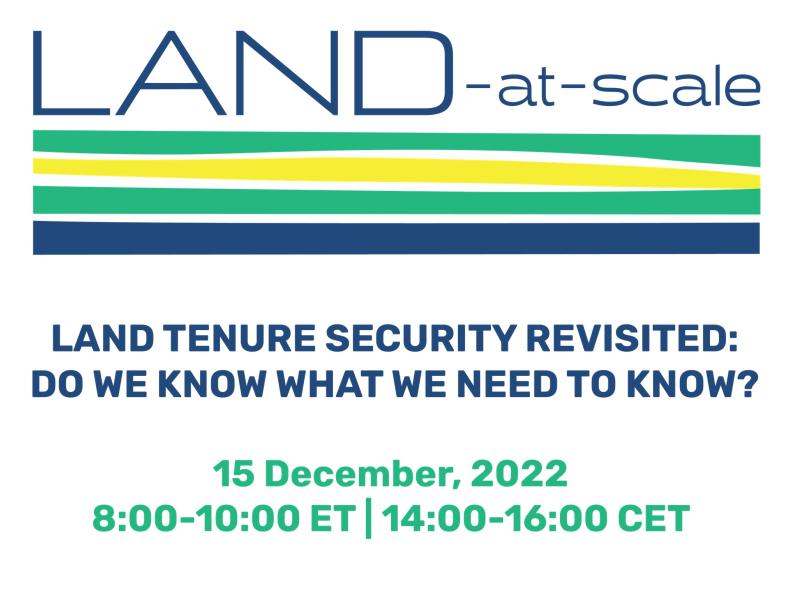 Land Tenure Security Revisited