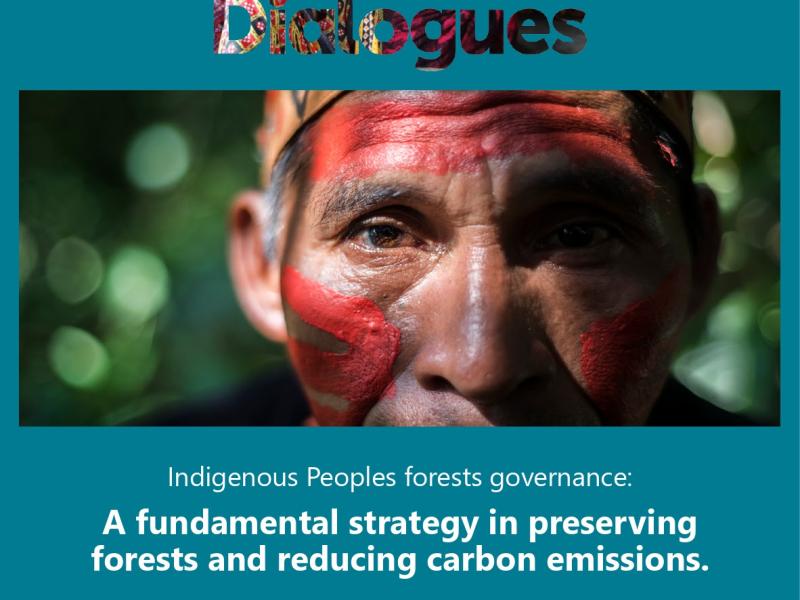 Indigenous Peoples forests governance: a fundamental strategy in preserving forests and reducing carbon emissions