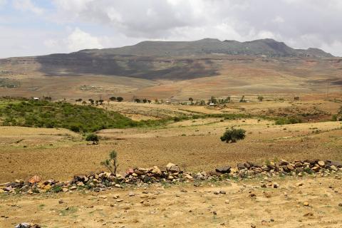 Land Governance in Ethiopia in the Time of COVID-19 