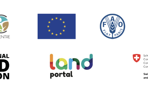 9th Capitalization Meeting of the EU Land Governance Programme - Day 3 - WEBINAR ON COVID-19 AND TENURE SECURITY