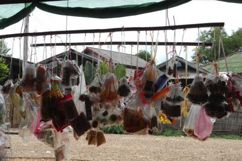 Local shops provided rural households with an alternative source of income and became part of farmers’ coping strategy to sustain their livelihoods in the aftermath of land dispossession.  Photo Credit: Diana Suhardiman/IWMI.