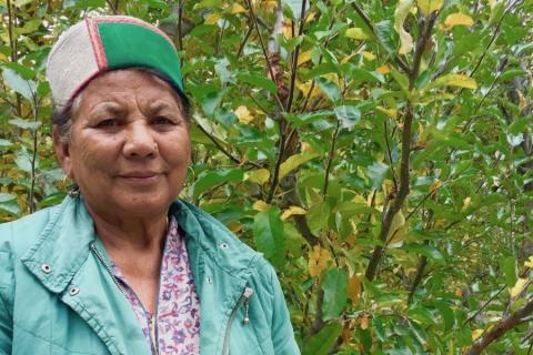Why Rattan Manjari Fights for Tribal Women's Land Rights in Himachal Pradesh