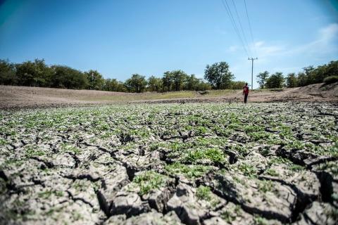 Foto: IFRC/Flickr