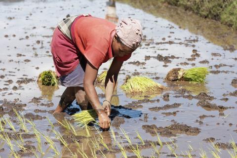 Foto: Marcel Crozet/ILO/Flickr