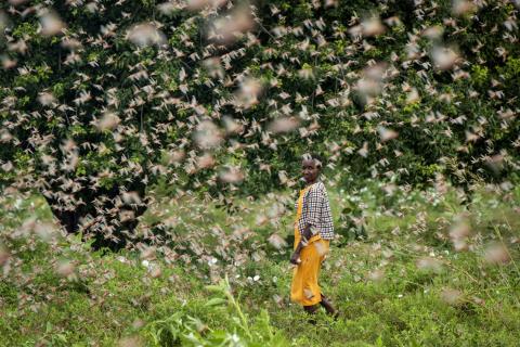 Foto: Ben Curtis/AP