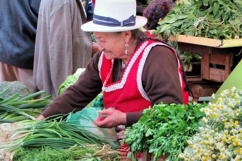 Mujer rural