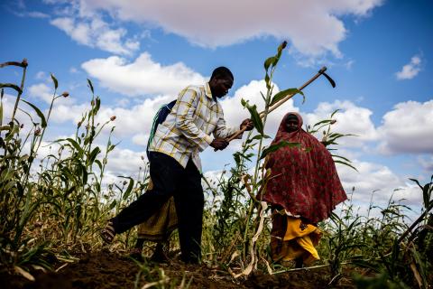  Une action humanitaire urgente est nécessaire pour sauver des vies et des moyens de subsistance et prévenir la famine et la mort dans les zones où il y a un fort risque d'aggravation de la faim aiguë de juin à novembre 2023.