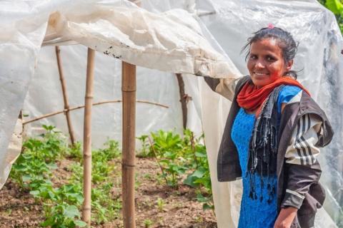 De jeunes plants de concombre dans la serre installée par Bimala grâce au Projet en faveur de l’adaptation des petits paysans des zones collinaires (ASHA) financé par le FIDA. © FIDA/Kaushal Shrestha
