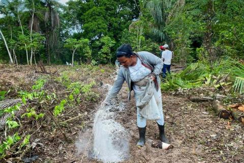 Action de restauration forestière dans l'État du Pará au Brésil, via des pratiques agroécologiques autour de la santé des sols et de la mobilisation de la biodiversité locale © Ianca Moreira, Refloramaz