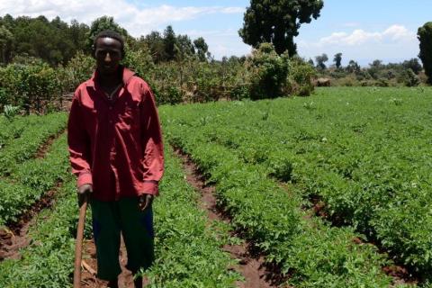 En Éthiopie, des agriculteurs se sont associés au FIDA pour élaborer une agriculture climato-compatible. © FIDA/Wairimu Mburathi
