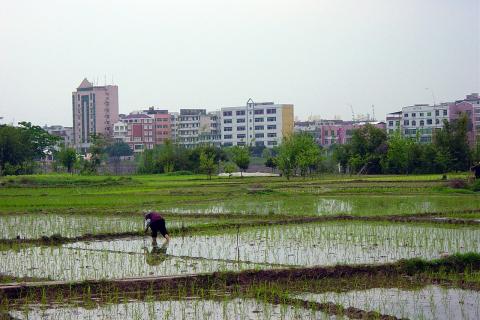 Bridging the Gap on Land Governance and Tenure along the Urban-Rural Continuum