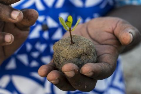 Restoration takes resources. Organizations driving activities on the ground are often underfunded and face financial insecurity. PHOTO:UNEP/Will Baxter