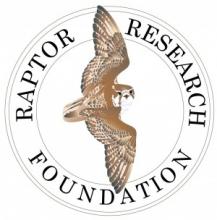 Raptor Research Foundation logo