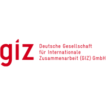 GIZ logo