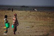 data story climate, conflict and displacement in the Sahel