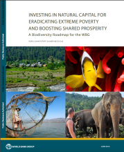 Investing in Natural Capital for Eradicating Extreme Poverty and Boosting Shared Prosperity : A Biodiversity Roadmap for the WBG cover image
