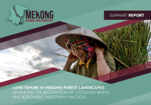 LAND TENURE IN MEKONG FOREST LANDSCAPES