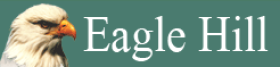 Eagle Hill Institute logo