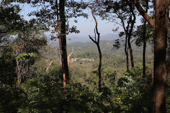 Figure 3: A Gheba village located within a forest in Kayin State (by Christian Erni)