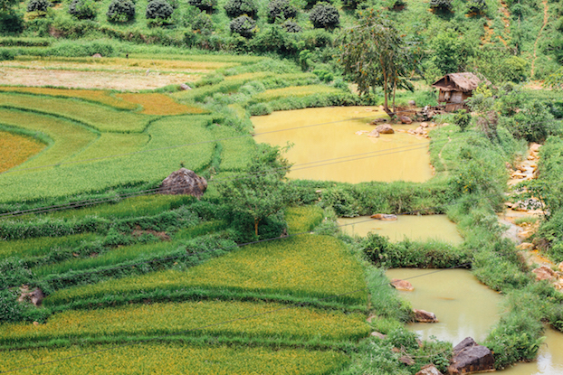Figure 4: Terraced Crops &amp; River, Dien Bien Province Vietnam (by Adam Cohn)