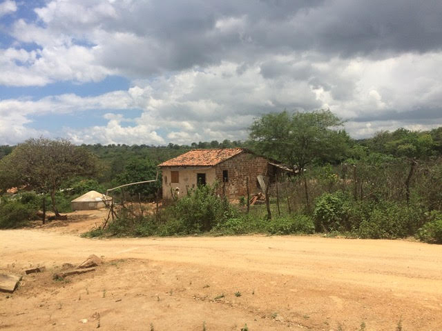 Rural Recife Brazil 