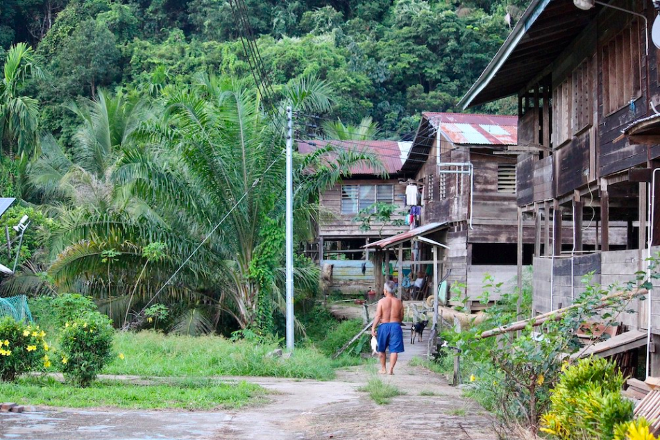 Amid Pandemic Malaysia Grants Timber Giant Logging Permit On Indigenous Land In Borneo Land Portal